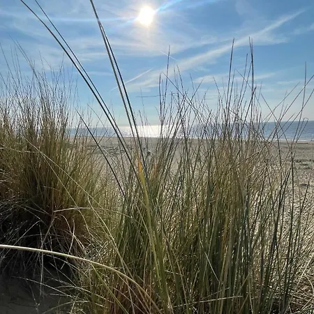Charming Near & Dunes! Wassenaar